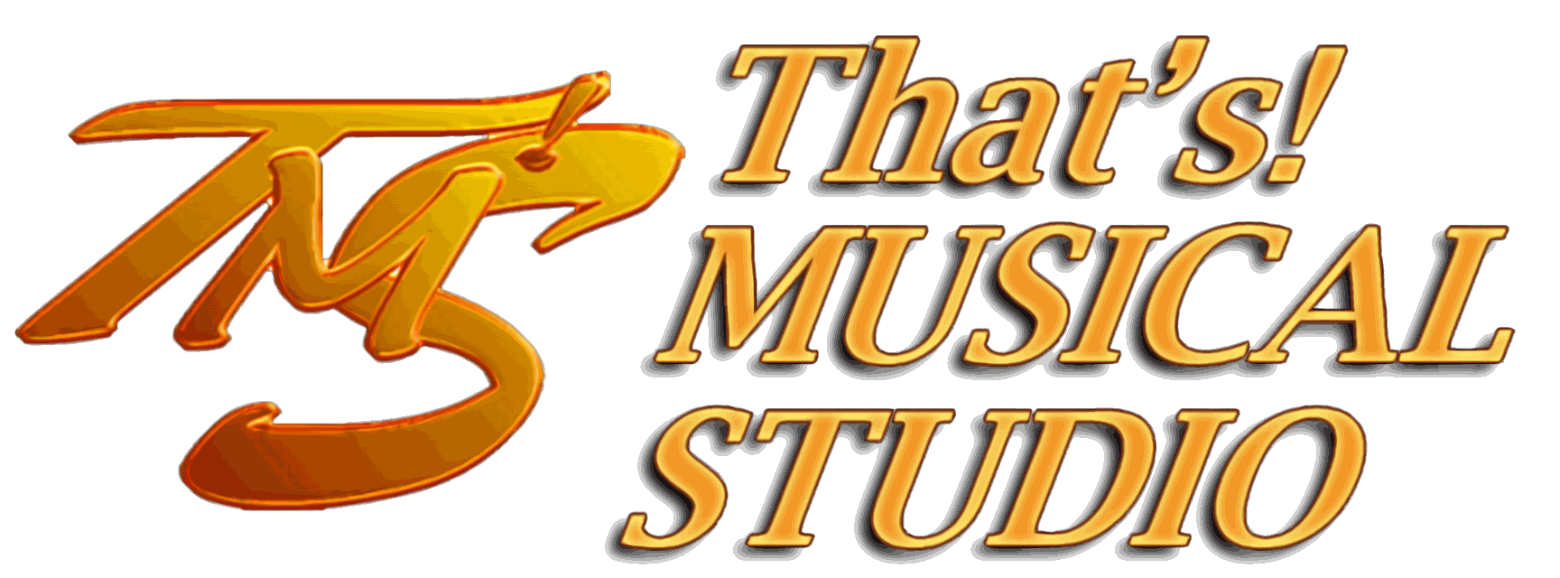 That's! MUSICAL STUDIO